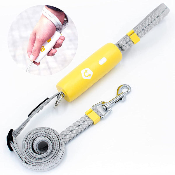 Elastic Dog Leash - Hands-Free Reflective for Small to Medium Dogs