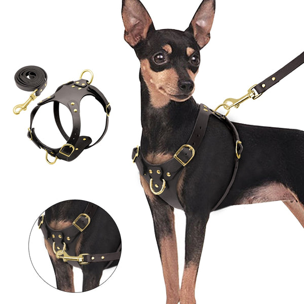 Adjustable Leather Dog Harness Vest with Leash - Soft for Small to Medium Dogs