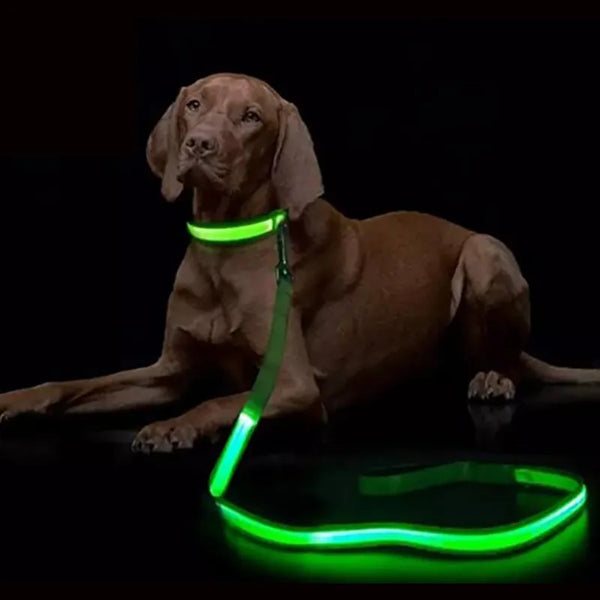LED Light Up Dog Leash - Luminous Nylon Rope for Pet Safety