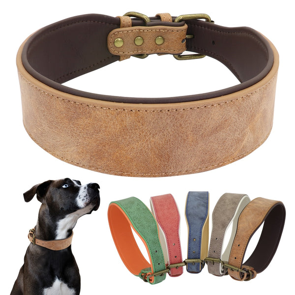 Wide Leather Dog Collar - Soft Padded for Large Dogs