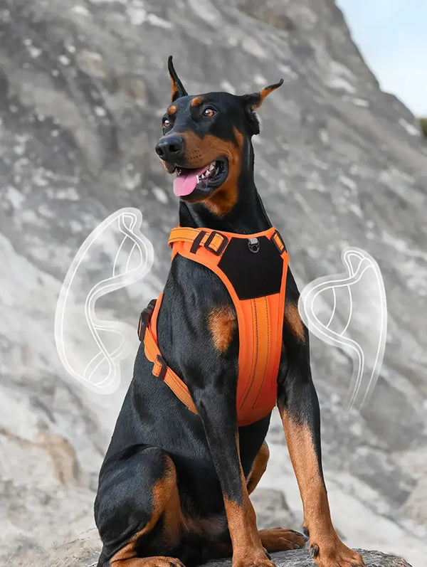 Reflective Dog Harness Vest with Leash - Explosion-Proof for Large Dogs