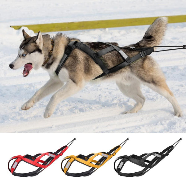 Waterproof Dog Sledding Harness - Reflective Vest for Large Dogs